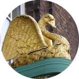 Hamburg ganz tierisch